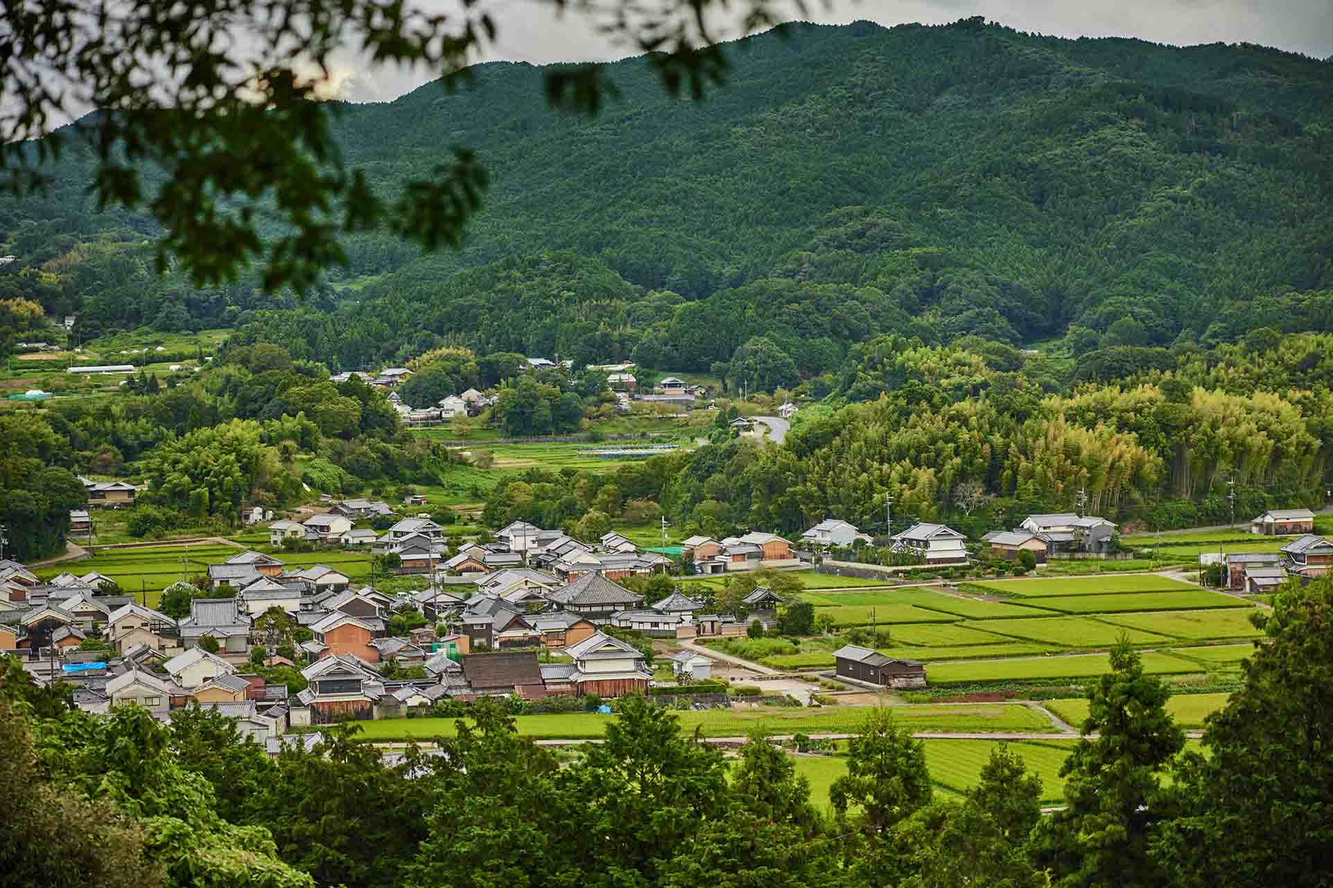 Asuka Village