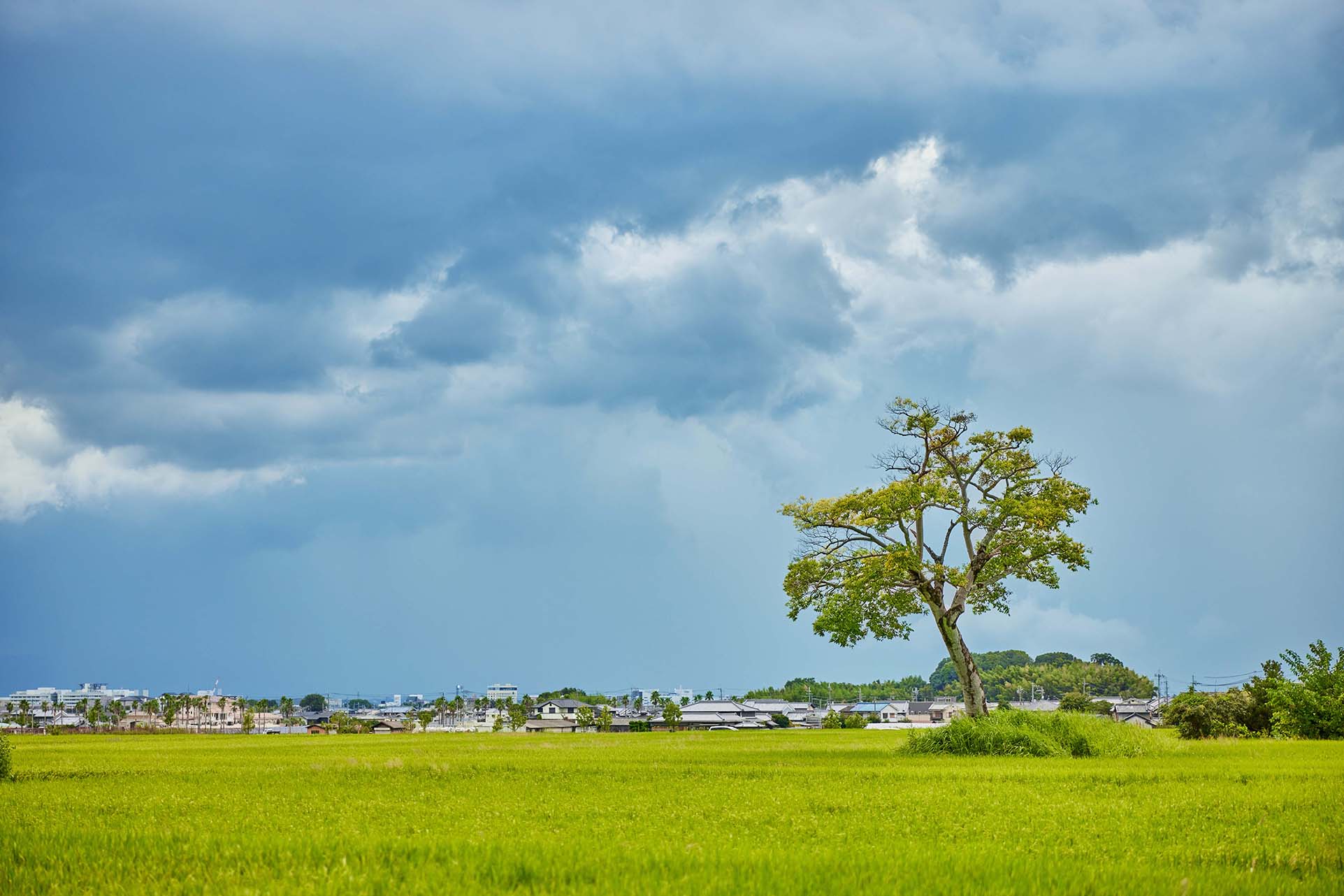 Asuka Village