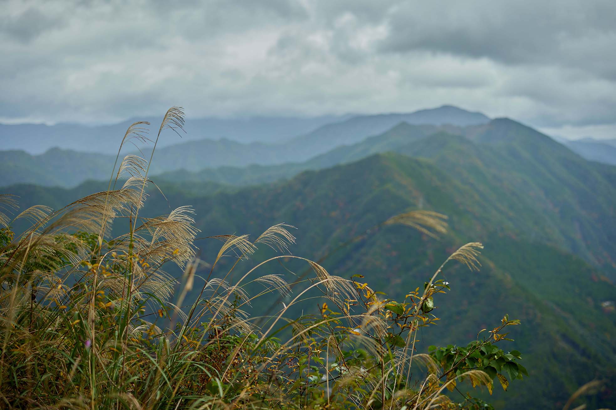 Kii Mountains seen from Mt. Tamaki