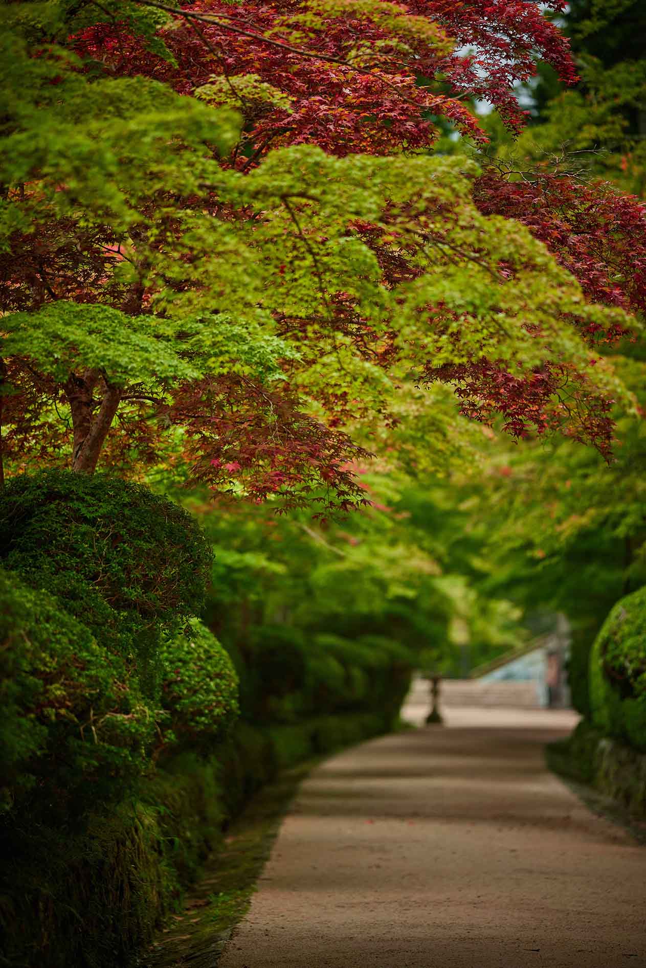 Koyasan