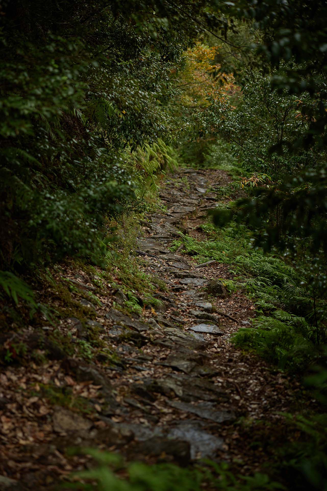 Kumano Kodo Koheji (Totsukawa Village)