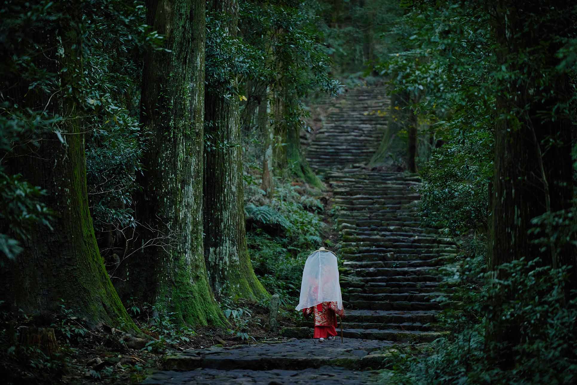 Kumano Kodo,Ohechi(Daimonzaka)