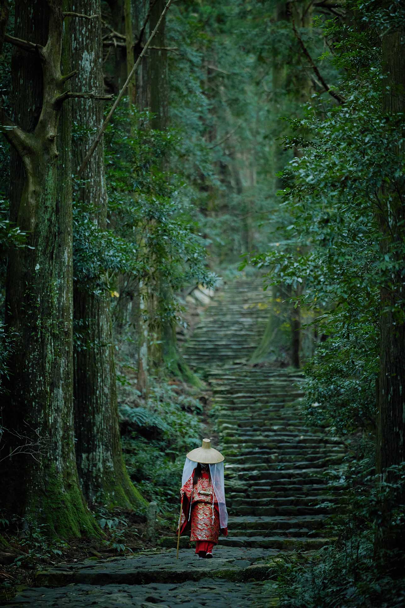 Kumano Kodo,Ohechi(Daimonzaka)