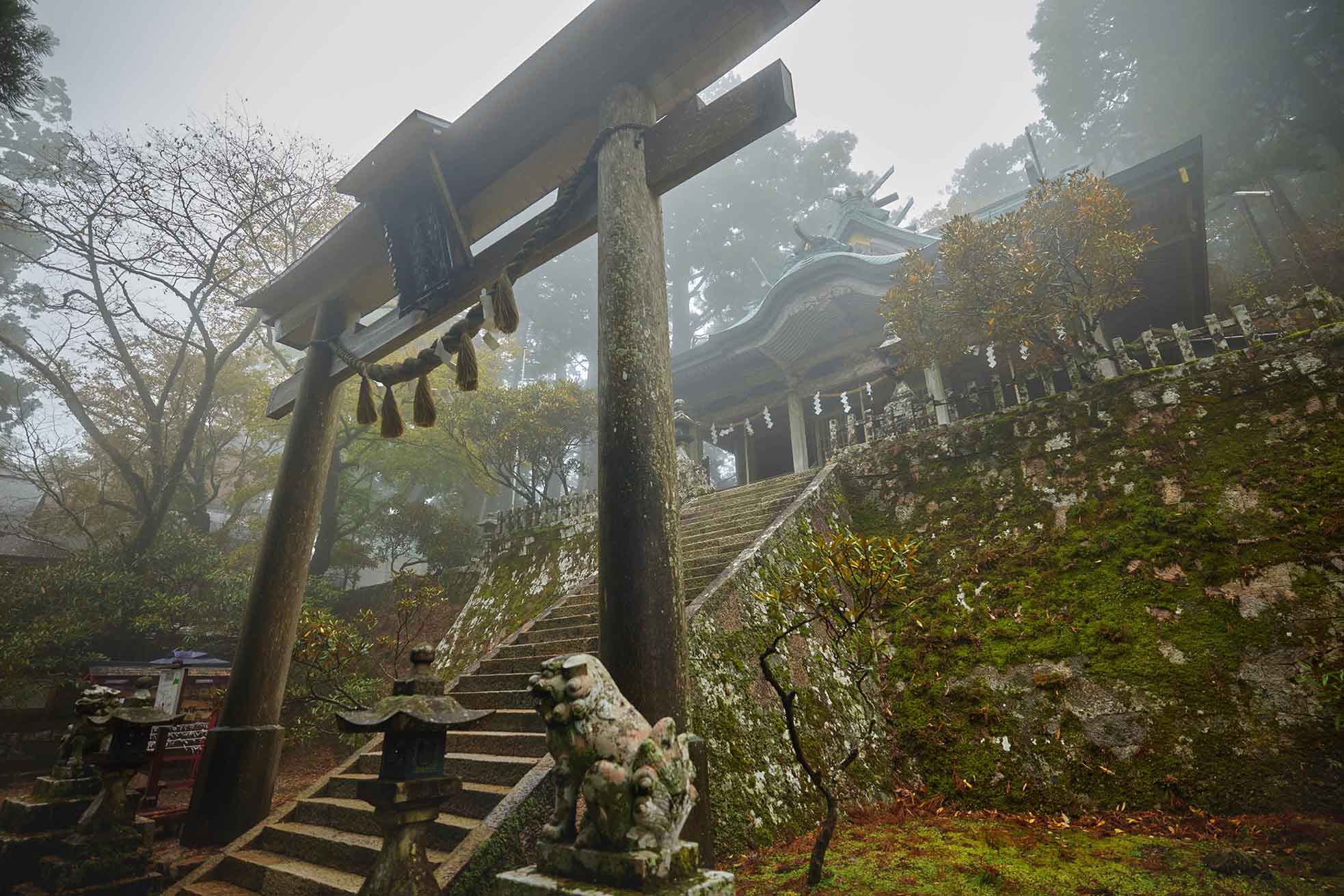 Tamaki Shrine