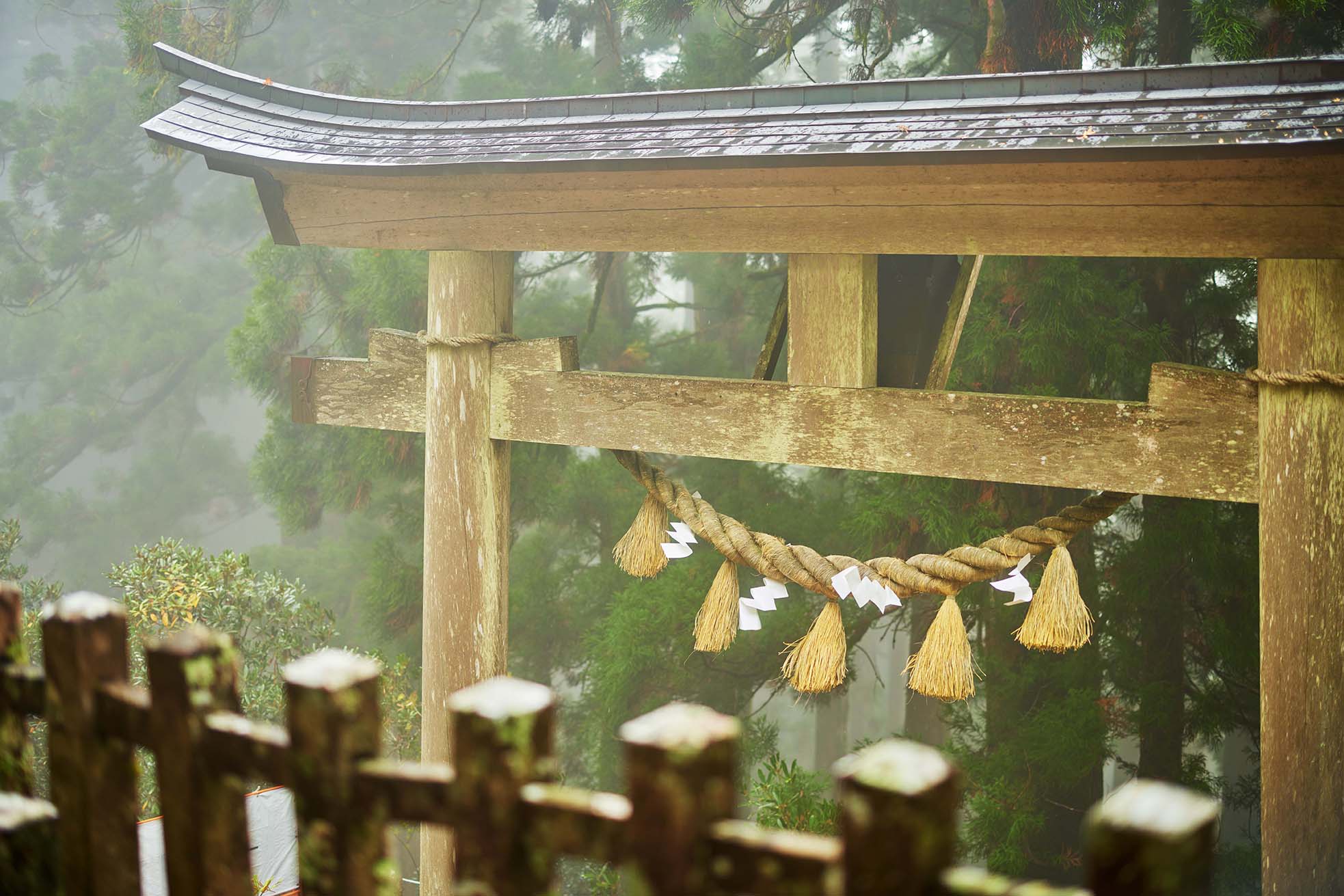 Tamaki Shrine