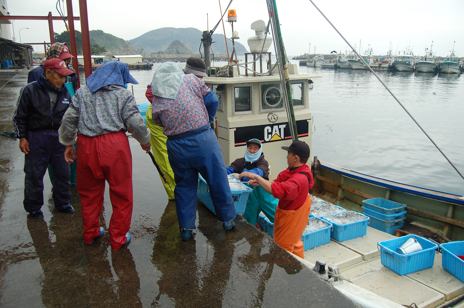 Rencontre des pêcheurs au retour de la mer
