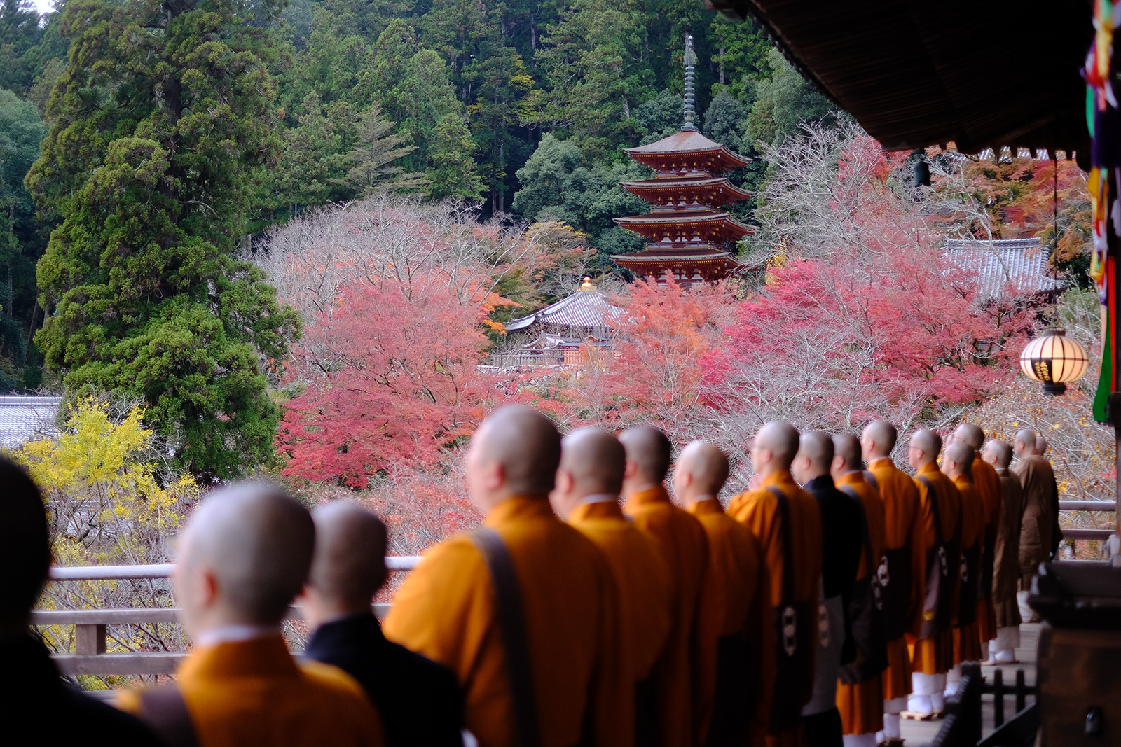 Purification du corps et de l’esprit avec les rites du matin au temple Hase-dera,suivie d’un petit déjeuner détoxyfiant